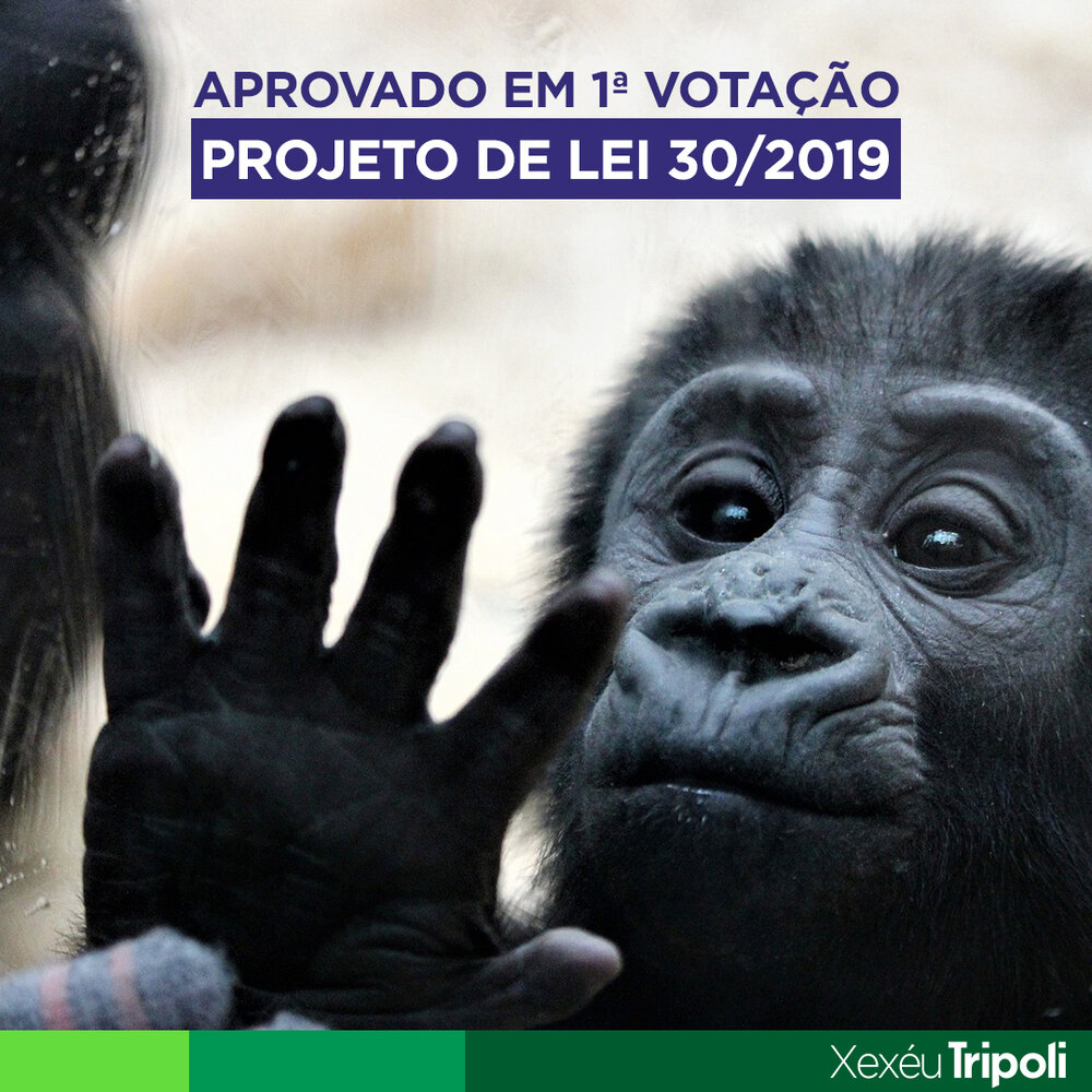 Empatia que se diz? Sim, empatia é a capacidade de se colocar no lugar do outro. Animais têm sentimentos assim como nós, seres humano. O medo, por exemplo, é igual para todos. Não é mais concebível animal encarcerado para entretenimento em pleno século XXI.