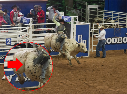 Sedém é uma cinta utilizada em rodeios que, passada na altura da virilha do animal, tem a finalidade de estimulá-lo. Legalmente, ela deve ser confeccionada em lã ou espuma revestida de tecido macio.