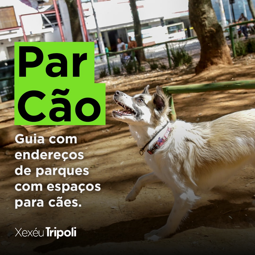 Guia dos Parcães em São Paulo: saiba onde encontrar