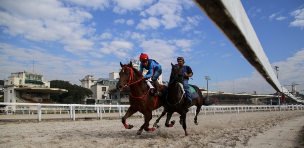 ESTADÃO / POLÍTICA – Vereadores de SP votam projeto que proíbe corrida de cavalo.