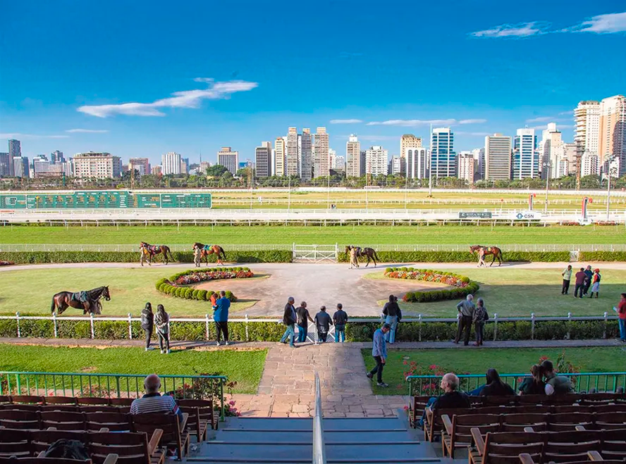 Artigo O Globo | Vereadores de São Paulo decidem proibição de apostas em corridas de cavalo